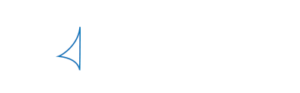 Logo BiruDaun Web Studio Bali